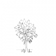 #1285 Shady Tree With eScooter